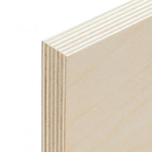 Birch Plywood – Ankico plywood